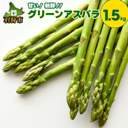 アスパラガス アスパラ【2024年度産：5月中旬～発送】グリーンアスパラ（1.5kg）石狩市 いしかり 野菜 農産物 みどり 新鮮 あすぱらがす 野菜 春野菜 旬 季節野菜 1.5キロ まとめ買い 一括 ぐりーん 緑【NEW】