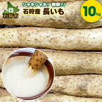 【ふるさと納税】長いも 長芋 野菜【2024年度産：11月中旬発送】石狩産 長いも（10kg）石狩市 いしかり 野菜 北海道 北海道産 10キロ 10kg 一括購入 まとめ買い ストック 買い置き とろろ とろろいも トロロいも ながいも 長芋 ナガイモ 長イモ【NEW】