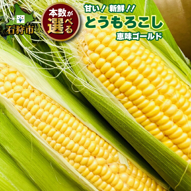 とうもろこし とうきび トウモロコシ【2024年度産：8月～発送】とうもろこし(恵味ゴールド)10本(約4.2kg)・20本(約8.4kg)石狩市 いしかり 野菜 イエローコーン めぐみ 恵み メグミ 旬 トウキビ 10本 北海道 北海道産 甘い めぐみ【NEW】