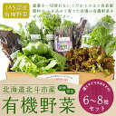 45位! 口コミ数「0件」評価「0」【JAS認定有機野菜】北斗市産 有機野菜6～8種類野菜セット 紙箱入(季節で種類が変わります) 【 ふるさと納税 人気 おすすめ ランキング･･･ 