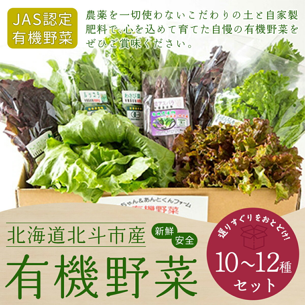 【ふるさと納税】【JAS認定有機野菜】北斗市産 有機野菜10～12種類野菜セット 紙箱入(季節で種類が変...