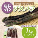 【ふるさと納税】【JAS認定有機紫アスパラ】S~Lサイズ紙箱入1kg 【 ふるさと納税 人気 おすすめ ランキング アスパラガス アスパラ 紫アスパラガス 紫アスパラ 紫アスパラ姫 有機栽培 JAS認定 サラダ 天ぷら 茹でアスパラ 北海道 北斗市 送料無料 】 HOKB001