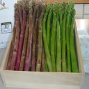 北海道北斗市の画像3