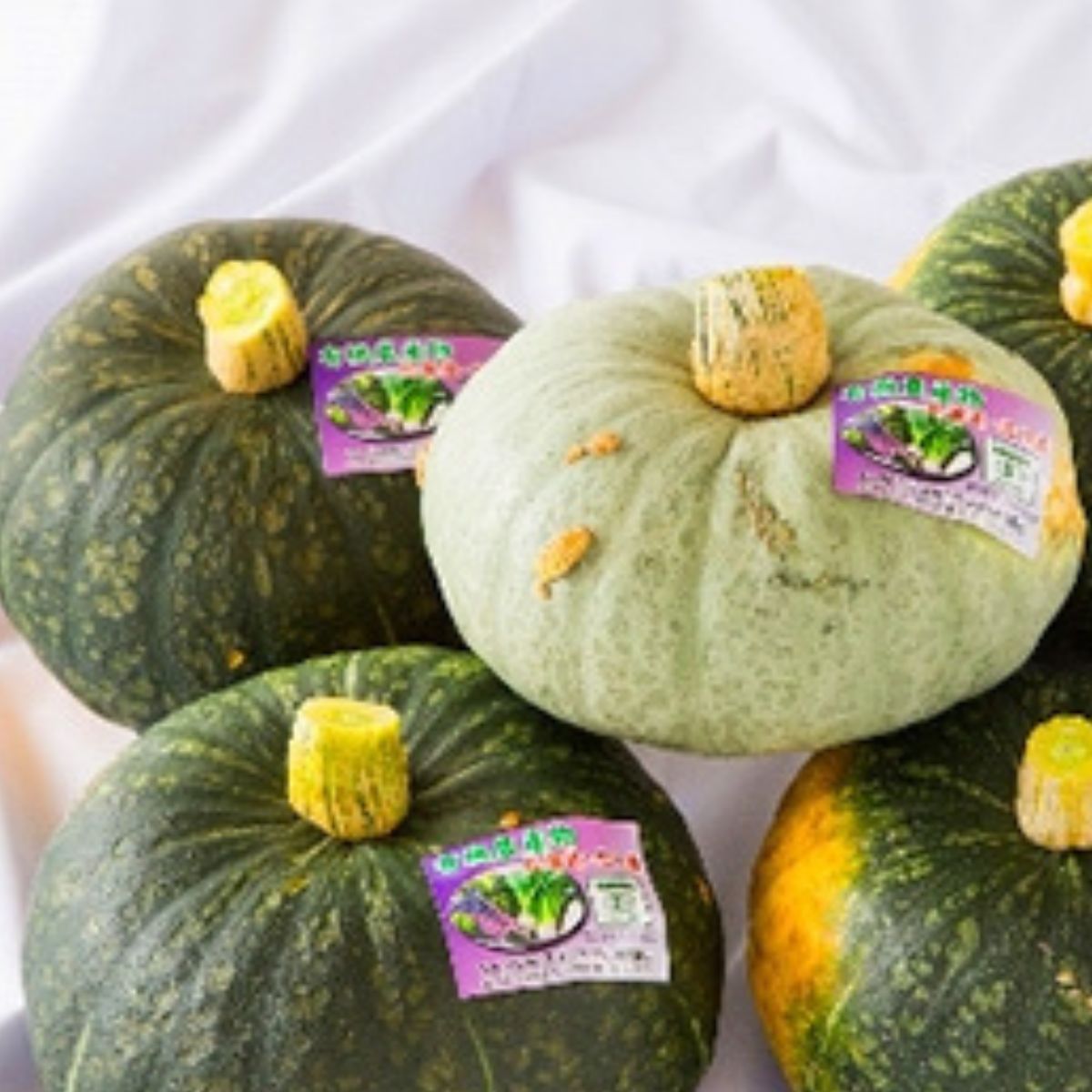 北海道北斗市の画像3