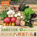 【ふるさと納税】【JAS認定有機野菜】北斗市産 ニンニクと野菜7~9種類野菜セット 紙箱入(季節で種類が変更) 【 ふるさと納税 人気 おすすめ ランキング ニンニク にんにく 国産ニンニク 野菜 旬 セット 有機野菜 無農薬 有機栽培 北海道 北斗市 送料無料 】 HOKB023