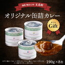 6位! 口コミ数「0件」評価「0」五島軒　オリジナル缶詰カレーギフト 【 ふるさと納税 人気 おすすめ ランキング 五島軒 カレー ビーフカレー チキンカレー 缶詰カレーギフ･･･ 