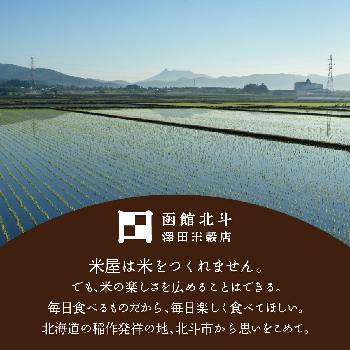 【ふるさと納税】特別栽培米ゆめぴりか9kg(4.5kg×2)[令和5年北斗市産] 【 ふるさと納税 人気 おすすめ ランキング お米 精米したて 白米 米 特別栽培米 ご飯 ゆめぴりか 北海道 北斗市 送料無料 】 HOKH005