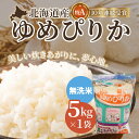 【ふるさと納税】【無洗米】北海道産 特Aランク ゆめぴりか 5kg 【 ふるさと納税 人気 おすすめ ランキング お米 無洗米 米 特Aランク米 ご飯 ゆめぴりか 北海道 北斗市 送料無料 】 HOKK031