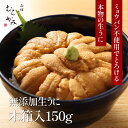 【ふるさと納税】「うにむらかみ」無添加生うに 木箱 150g 【 ふるさと納税 人気 おすすめ ランキング うに ウニ 雲丹 海栗 塩水ウニ 塩水うに キタムラ...