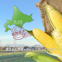 北海道北斗市の画像2