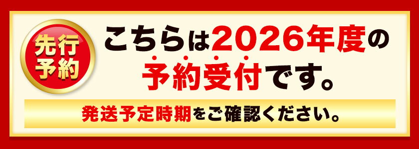【ふるさと納税】【2026年先行予約】ステビア栽培グリーンアスパラ 1.5kg 高橋幸治《2026年5月下旬-6月中旬頃出荷》北海道 当別町 野菜 やさい アスパラガス アスパラ グリーンアスパラ 極太 北海道産 季節限定 旬 春 当別 美味しい ヘルシー とれたて