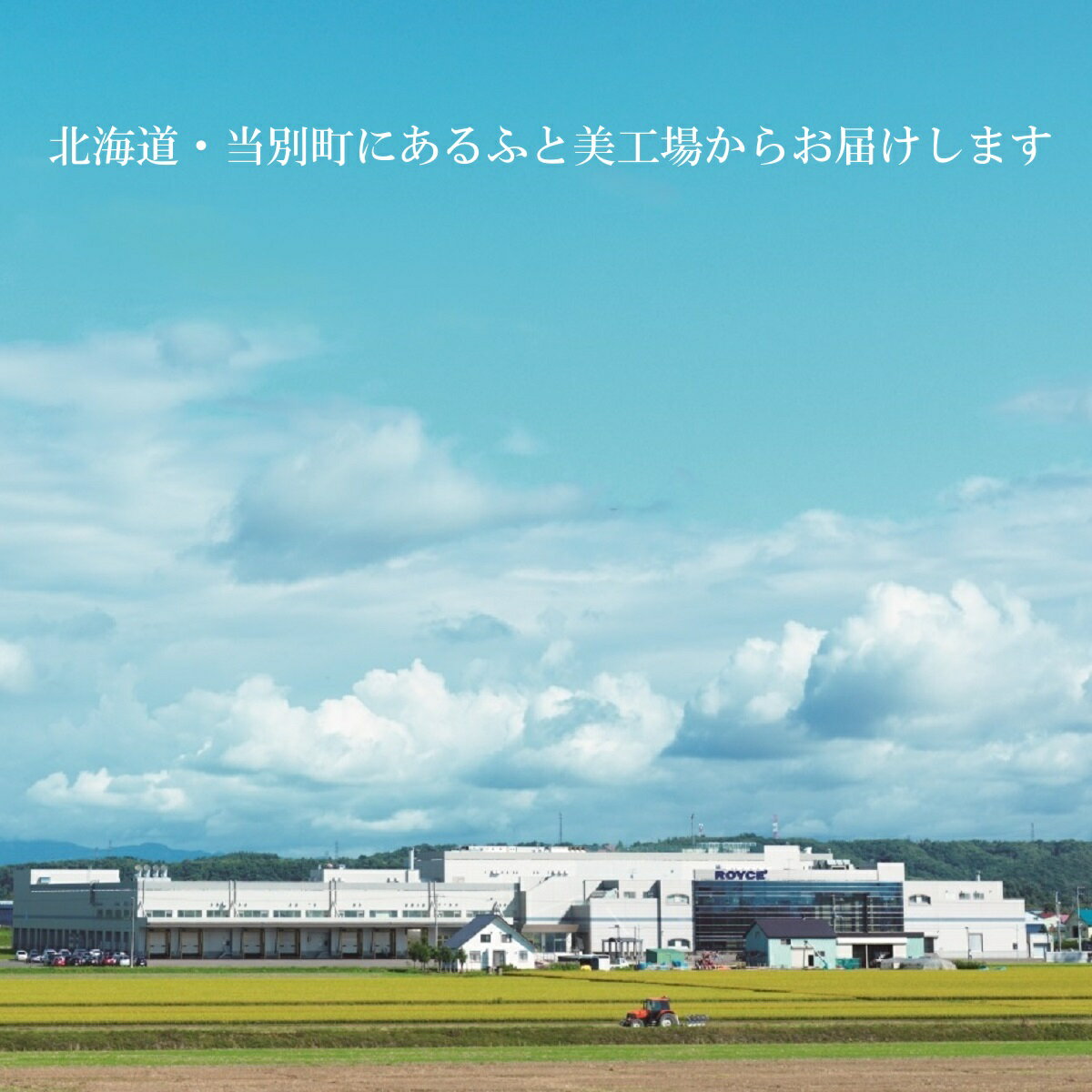 アイテムID:390615の画像3枚目