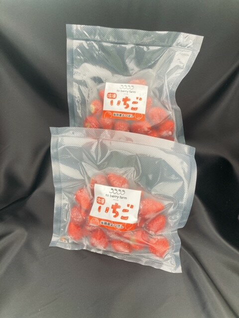 【ふるさと納税】よつぼし冷凍いちご