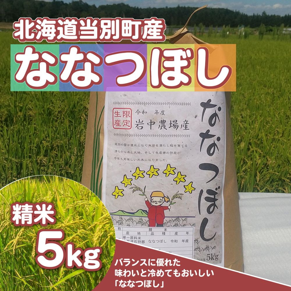 【ふるさと納税】精米ななつぼし5kg