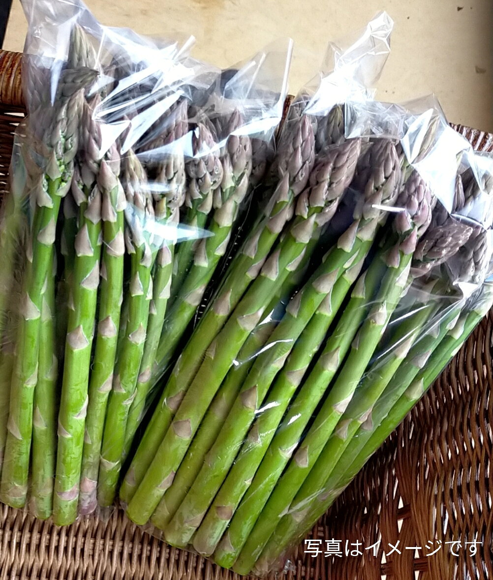 【ふるさと納税】北海道当別町産化学農薬不使用採れたてグリーンアスパラガス1kgのサムネイル