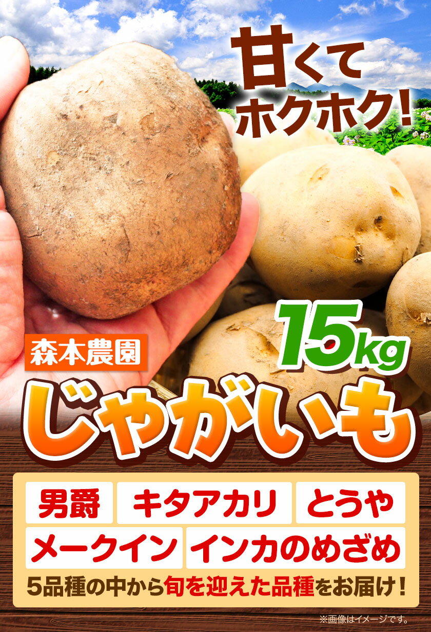 【ふるさと納税】 森本農園 じゃがいも 15kg いも 男爵 キタアカリ とうや メークイン インカのめざめ 野菜 ポテト ポテトチップス じゃがバター フライドポテト カレー シチュー おかず 北海道産 北海道 石狩 森本農園