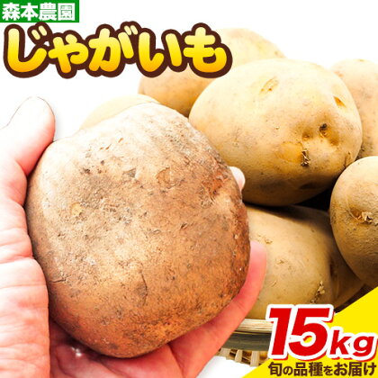 森本農園 じゃがいも 15kg いも 男爵 キタアカリ とうや メークイン インカのめざめ 野菜 ポテト ポテトチップス じゃがバター フライドポテト カレー シチュー おかず 北海道産 北海道 石狩 森本農園