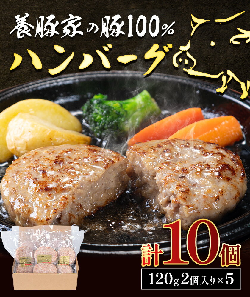 【ふるさと納税】養豚家の豚100％ハンバーグセット 120g2枚入りパック×5セット計10枚 豚肉 肉 厳選 国産 お取り寄せ グルメ おかず おすすめ スマイル ポーク 加工品 惣菜 簡単 冷凍 キャンプ BBQ 浅野農場