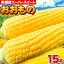 【ふるさと納税】（令和6年先行受付）野口農園高糖度とうもろこし「おおもの」15本野口農園 トウモロコシ もろこし 農家直送 産地直送 大きめ Bigサイズ 高糖度 甘い スイーツ おやつ 野菜 大きい おおもの 夏野菜 コーン