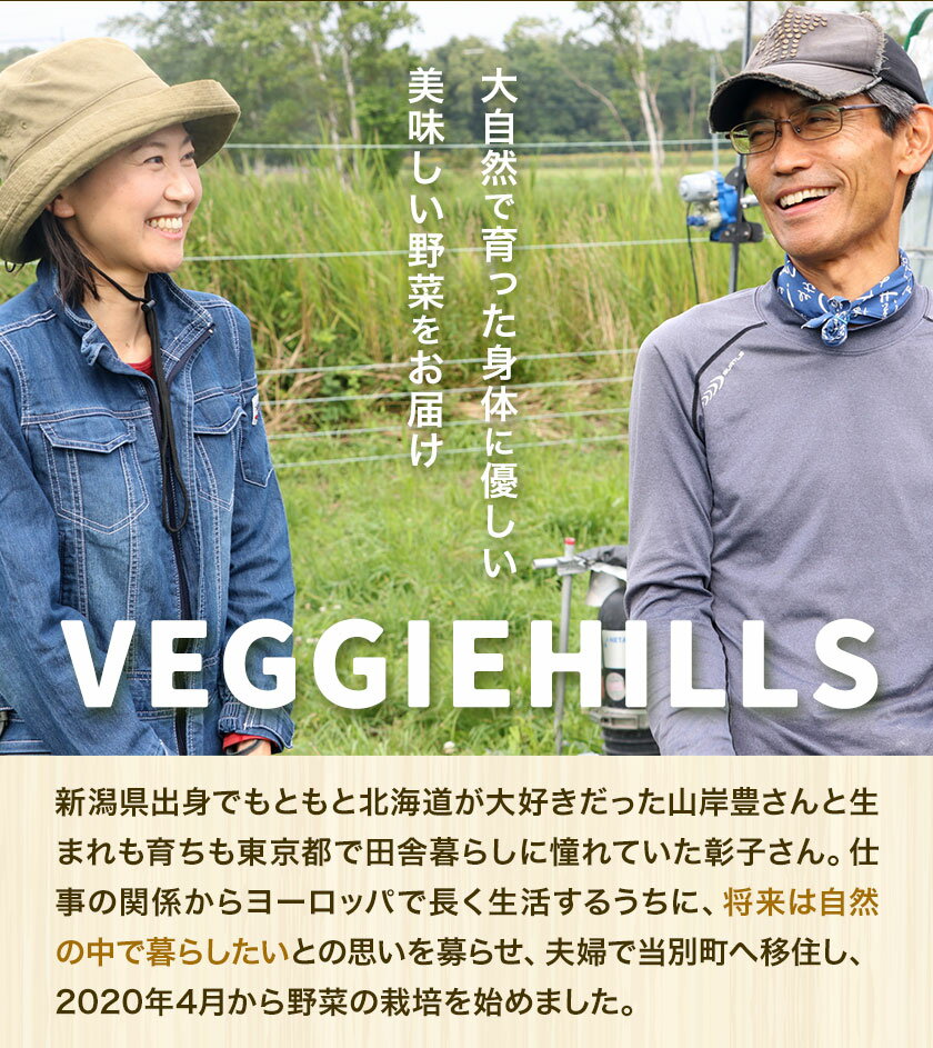 【ふるさと納税】【2025年出荷】北海道当別町産化学農薬不使用栗かぼちゃ:2個セット 4個セット【9月下旬〜11月上旬出荷】