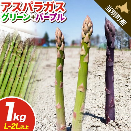 北海道当別町産 除草剤不使用 朝採れ アスパラガス グリーン 1kg 700g ＋ パープル 300g VEGGIEHILLS ベジヒルズ 北海道 当別町 野菜 アスパラガス