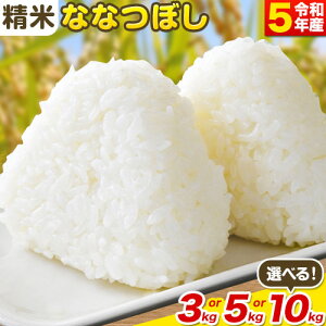 【ふるさと納税】精米ななつぼし3kg 5kg 10kgお米 米 白米 精米 備蓄米 北海道産 当別町産 定番 産地直送 ふっくら ご飯 こめ 農家直送選べる 単身 一人暮らし お手軽 少なめ ビオトープ利用型 自然 環境 共存岩中農場 ななつぼし ななつほし