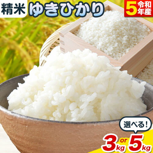 【ふるさと納税】精米ゆきひかり 3kg 5kgお米 米 白米 精米 備蓄米 北海道産 当別町産 定番 産地直送 ふっくら ご飯 こめ 無洗米 農家直送選べる 単身 一人暮らし お手軽 少なめ ビオトープ利用型 自然 環境 共存岩中農場 ゆきひかり