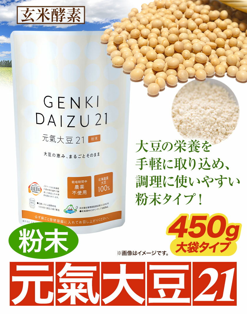 【ふるさと納税】元氣大豆21（粉末）株式会社玄米酵素 北海道 当別町 大豆 豆 イソフラボン 玄米酵素 十勝産大豆 健康食品 栄耀 健康 けんこう ヘルシー 健やか 水に溶く 加工品 粉末 クッキー ハンバーグ プロテイン