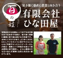 北海道当別町の画像3