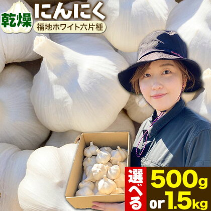 （令和6年先行受付）にんにく（福地ホワイト六片種）500g or 1.5kgにんにく 福地ホワイト 500g 1500g　北海道産 国産 スパイス ガーリック お肉 肉 アヒージョ 便利 普段使い 万能 調味料 焼肉 BBQ