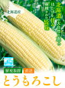 北海道当別町の画像2