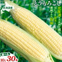 41位! 口コミ数「0件」評価「0」【2025年先行予約】照之家商店鮮度抜群とうもろこし 10本 30本 選べる