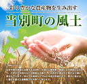 北海道当別町の画像3