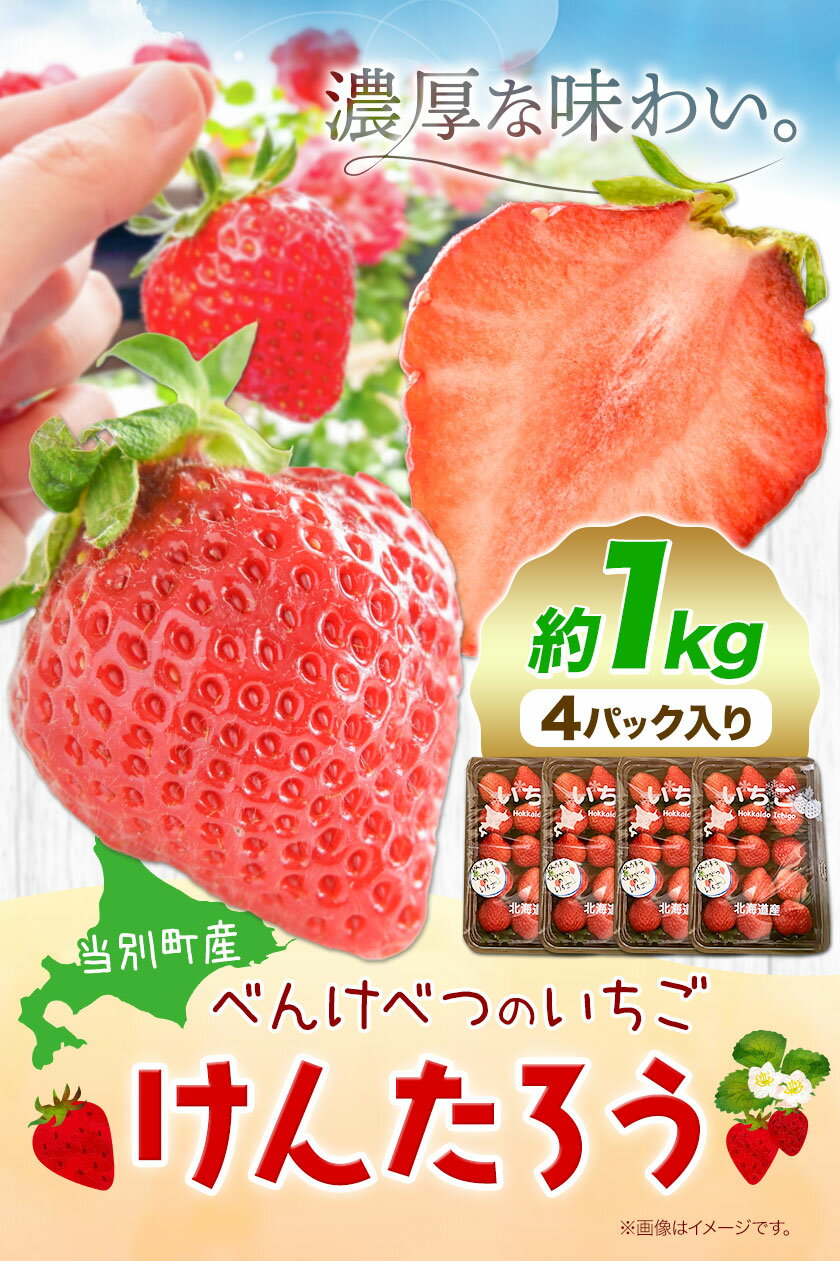 【ふるさと納税】【2025年先行予約】べんけべつのいちご けんたろう 約1kg (1箱4パック入り) 齊藤義也 いちご イチゴ フルーツ 果物 ギフト 北海道 当別町 送料無料 北海道産 お取り寄せ