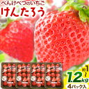 【ふるさと納税】 いちご イチゴ 苺 べんけべつのいちご けんたろう 約1～1.2kg (1箱4パック入り) 齊藤義也 《5月下旬-6月下旬頃より出荷予定》 イチゴ フルーツ 果物 新鮮 オリジナル 品種 ギフト 期間限定 限定 北海道 当別町 送料無料 北海道産 お取り寄せ 10000 円