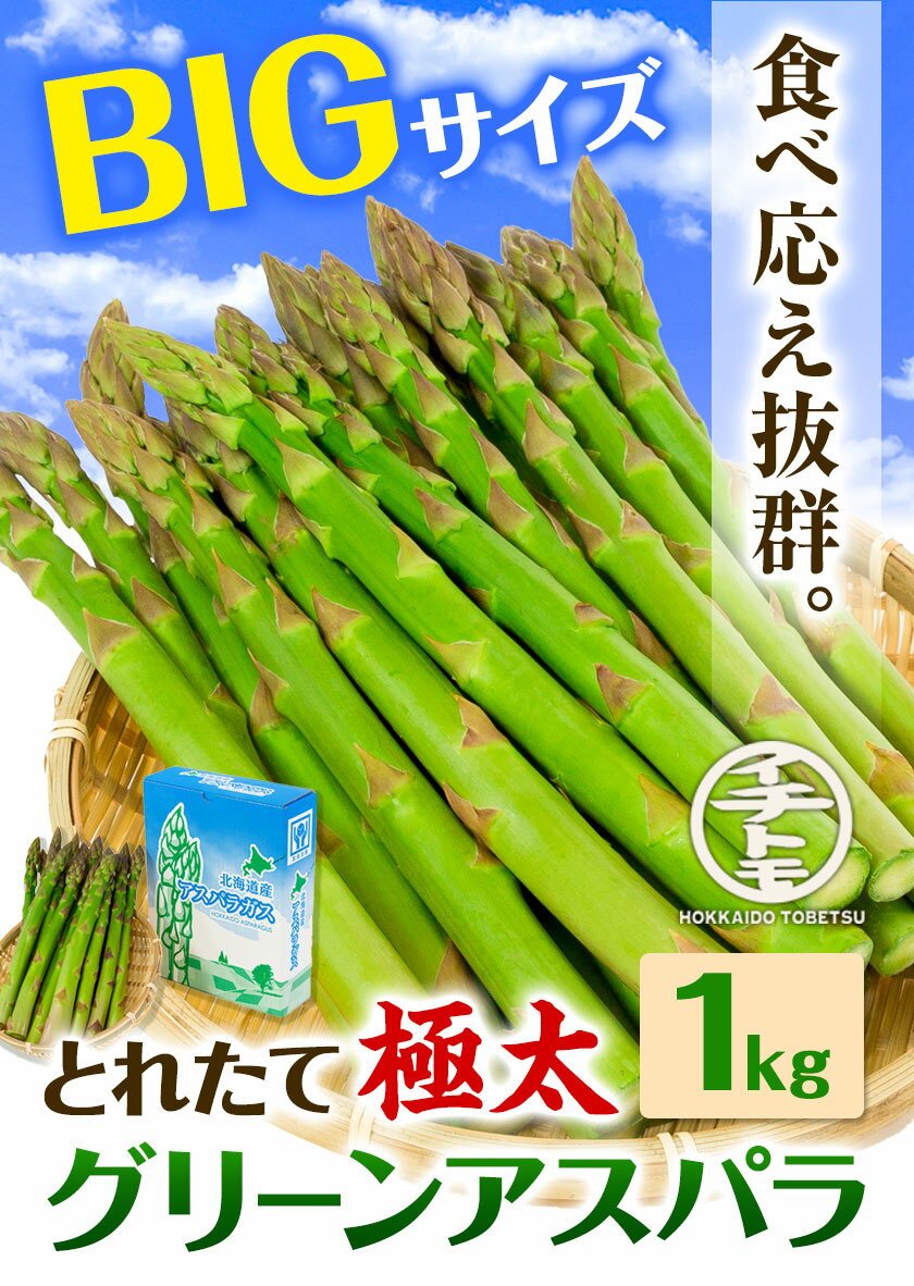 【ふるさと納税】【2026年先行受付】とれたて極太グリーンアスパラ1kg イチカワトモヒロ農場 北海道 当別町 野菜 やさい アスパラガス アスパラ グリーンアスパラ 極太 北海道産 有機肥料 当別 美味しい ヘルシー とれたて 1kg《2026年5月上旬頃から6月下旬頃まで出荷予定》