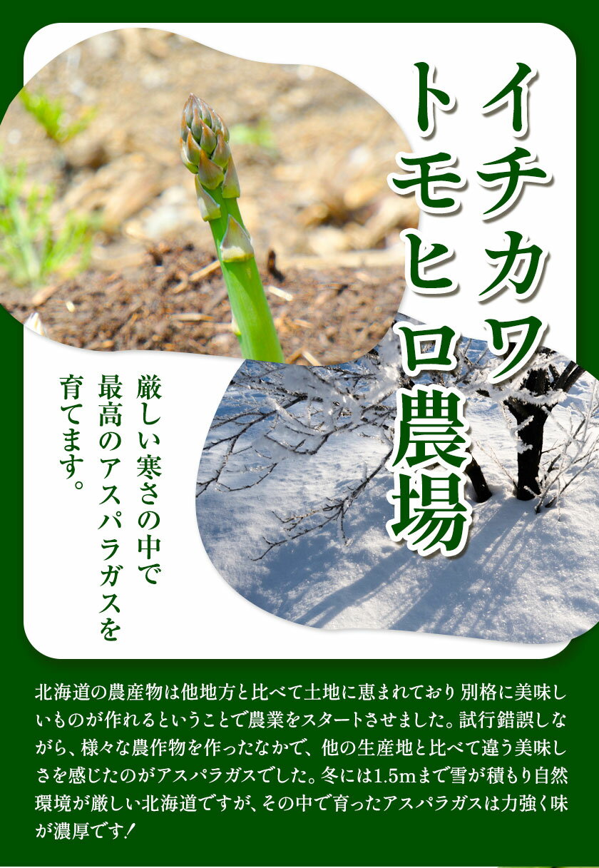 【ふるさと納税】【2026年先行受付】とれたて極太グリーンアスパラ1kg イチカワトモヒロ農場 北海道 当別町 野菜 やさい アスパラガス アスパラ グリーンアスパラ 極太 北海道産 有機肥料 当別 美味しい ヘルシー とれたて 1kg《2026年5月上旬頃から6月下旬頃まで出荷予定》
