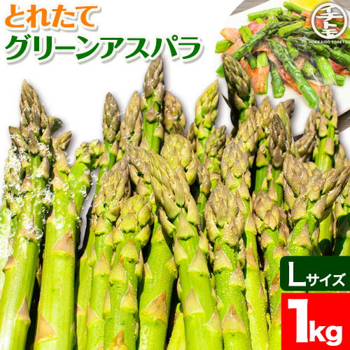 【ふるさと納税】【2026年先行受付】とれたてグリーンアスパラLサイズ1kg イチカワトモヒロ農場 北海道 当別町 野菜 アスパラガス アスパラ グリーンアスパラ Lサイズ 北海道産 季節限定 旬 春 有機肥料 当別 美味しい 1kg《2026年5月上旬頃から6月下旬頃まで出荷予定》