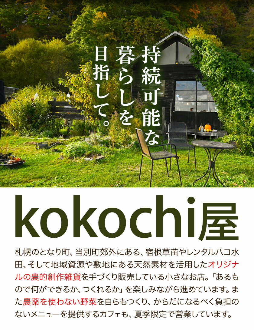 【ふるさと納税】天然のチカラ・大豆カイロセット【緑】【こげ茶】カイロ 大豆 首 目 繰り返し使える ホットカイロ カラフル SDGs 持続可能 地域循環 天然 保温 ハンドメイド kokochi屋 《お申込順に出荷(通常1～2か月程度)》 北海道 当別町