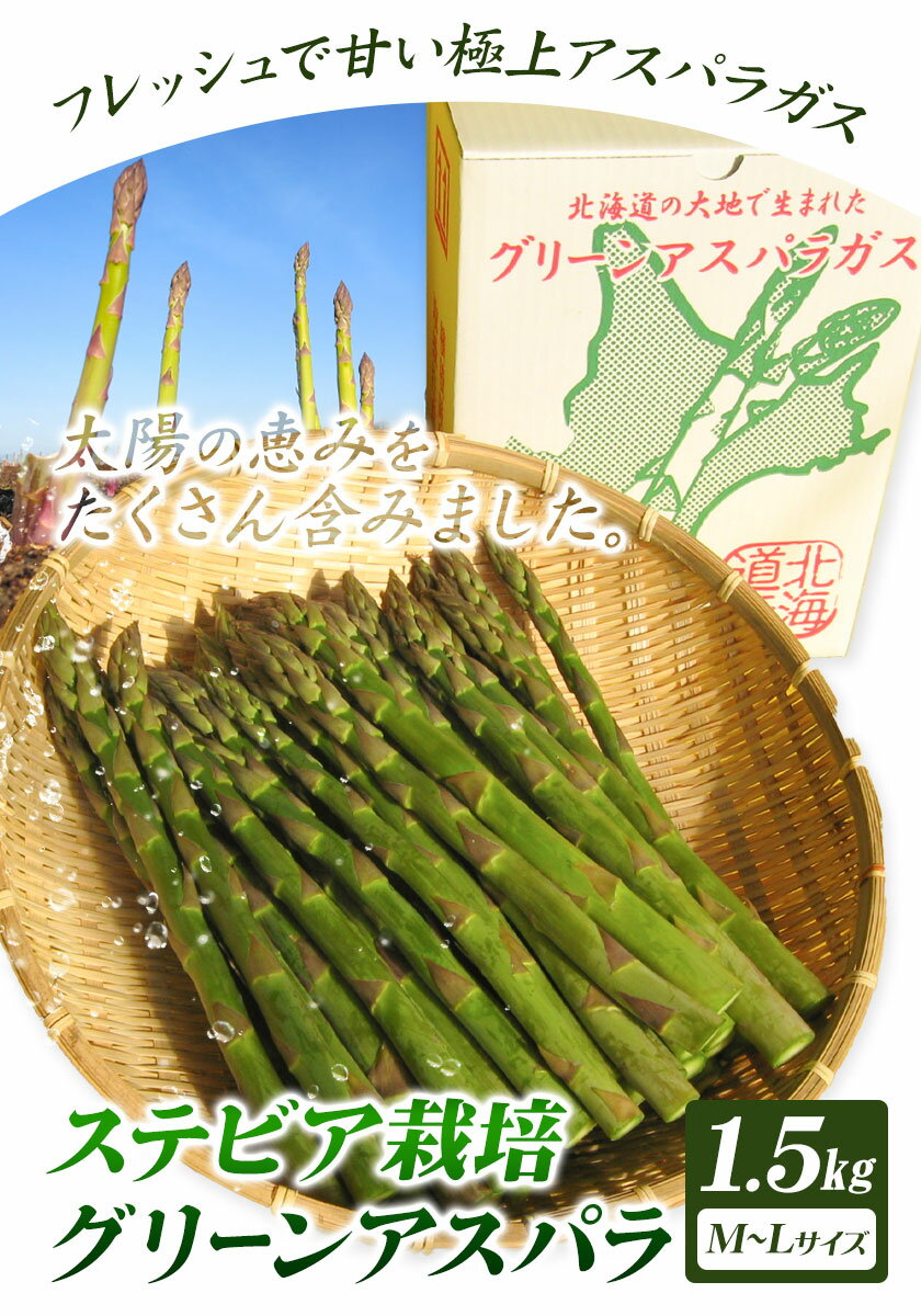 【ふるさと納税】【2026年先行予約】ステビア栽培グリーンアスパラ 1.5kg 高橋幸治《2026年5月下旬-6月中旬頃出荷》北海道 当別町 野菜 やさい アスパラガス アスパラ グリーンアスパラ 極太 北海道産 季節限定 旬 春 当別 美味しい ヘルシー とれたて