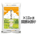 【ふるさと納税】新しのつ米「ななつぼし」5kg×12カ月連続...