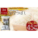 特別栽培米ななつぼし計45kg 15kg×1ヶ月おきに3回発送　 – 北海道新篠津村 – 白米,食品,米・雑穀