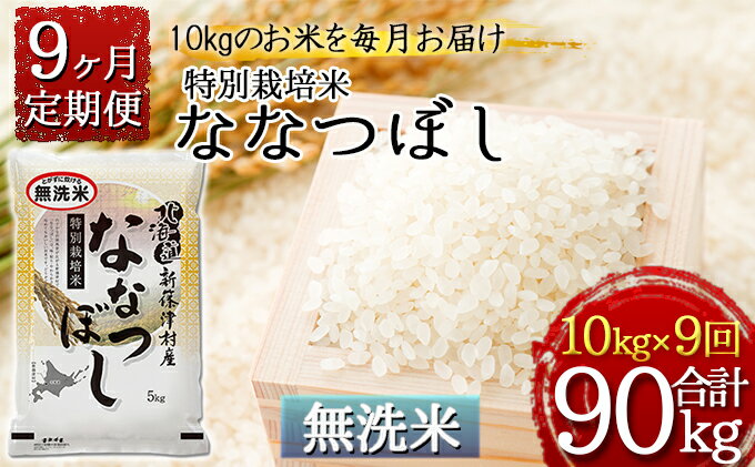 【ふるさと納税】【無洗米】北海道新篠津村産 特別栽培米ななつぼし10kg（5kg×2）×9ヶ月連続お届け　【定期便・お米・ななつぼし・米・特別栽培米・無洗米・9ヶ月・9回】