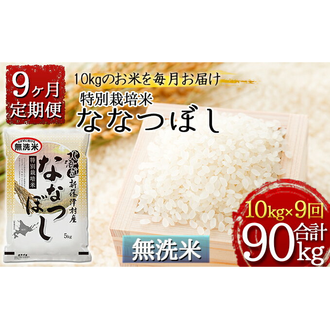 【ふるさと納税】【無洗米】北海道新篠津村産 特別栽培米ななつぼし10kg（5kg×2）×9ヶ月連続お届け　【定期便・お米・ななつぼし・米・特別栽培米・無洗米・9ヶ月・9回】　お届け：2022年11月初旬より順次新米で出荷