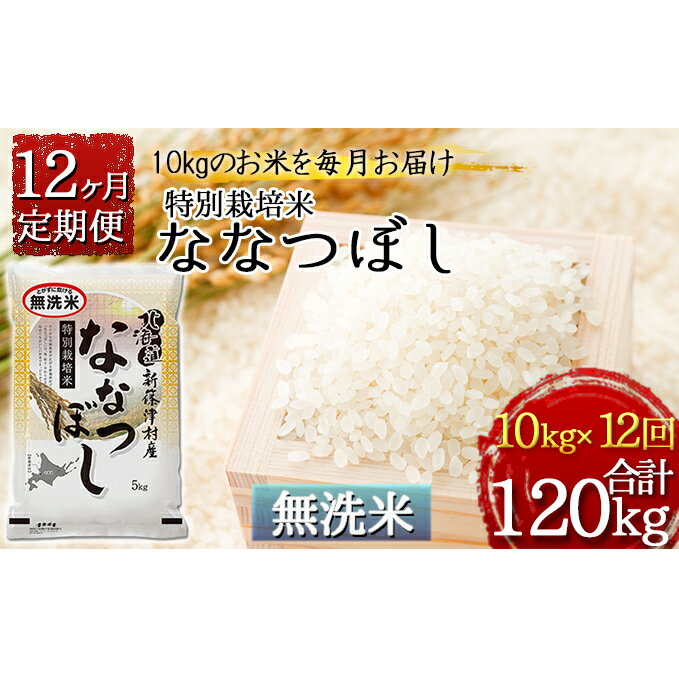 【ふるさと納税】【無洗米】北海道新篠津村産 特別栽培米ななつぼし10kg（5kg×2）×12ヶ月連続お届け　【定期便・お米・ななつぼし・米・特別栽培米・無洗米・12ヶ月・12回・1年】