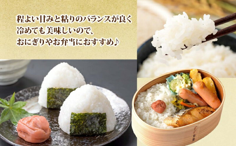 北海道新篠津村の画像3