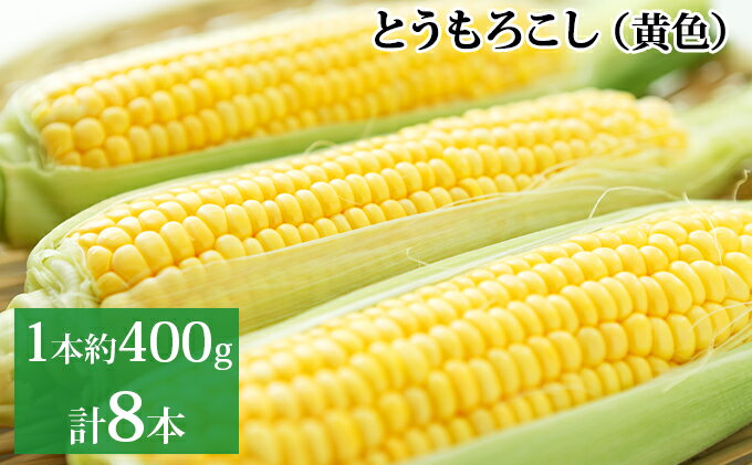 【ふるさと納税】新しのつ産 とうもろこし (黄色) 2Lサイズ 8本　【野菜・とうもろこし】　お届け：2024年7月上旬～7月下旬まで随時出荷