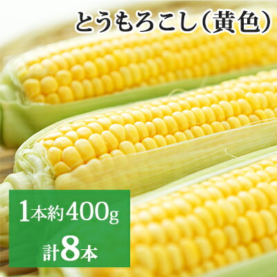 【ふるさと納税】新しのつ産 とうもろこし (黄色) 2Lサイズ 8本　【野菜・とうもろこし】　お届け：202..