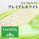 【ふるさと納税】新しのつ産 とうもろこし「プレミアムホワイト」 2L 8本　【野菜・とうもろこし】　お届け：2024年7月上旬～7月中旬ま..