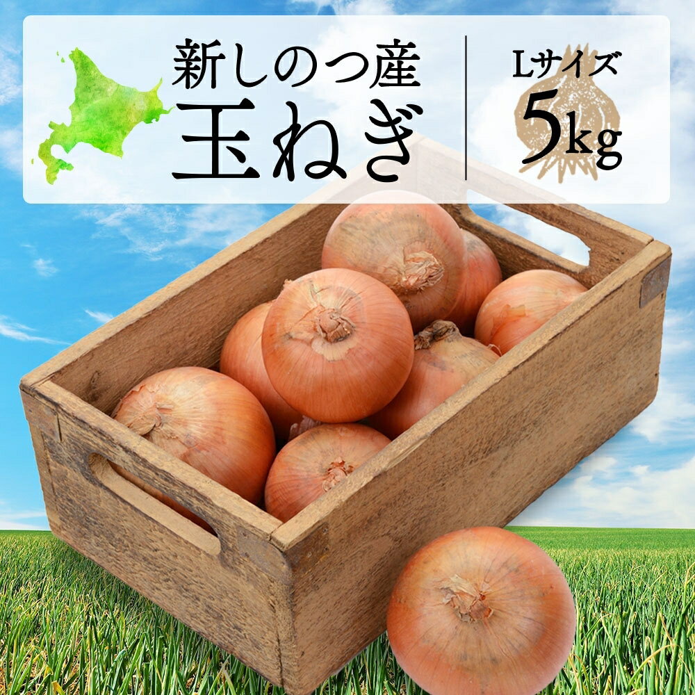 野菜・きのこ(たまねぎ)人気ランク14位　口コミ数「12件」評価「4」「【ふるさと納税】北海道 新しのつ産 玉ねぎ Lサイズ 約5kg オホーツク222 北もみじ2000 玉葱 たまねぎ タマネギ オニオン 旬 農作物 野菜 サラダ カレー 肉じゃが 長期保存 送料無料　【野菜・玉ねぎ・たまねぎ】　お届け：8月下旬～1月下旬」